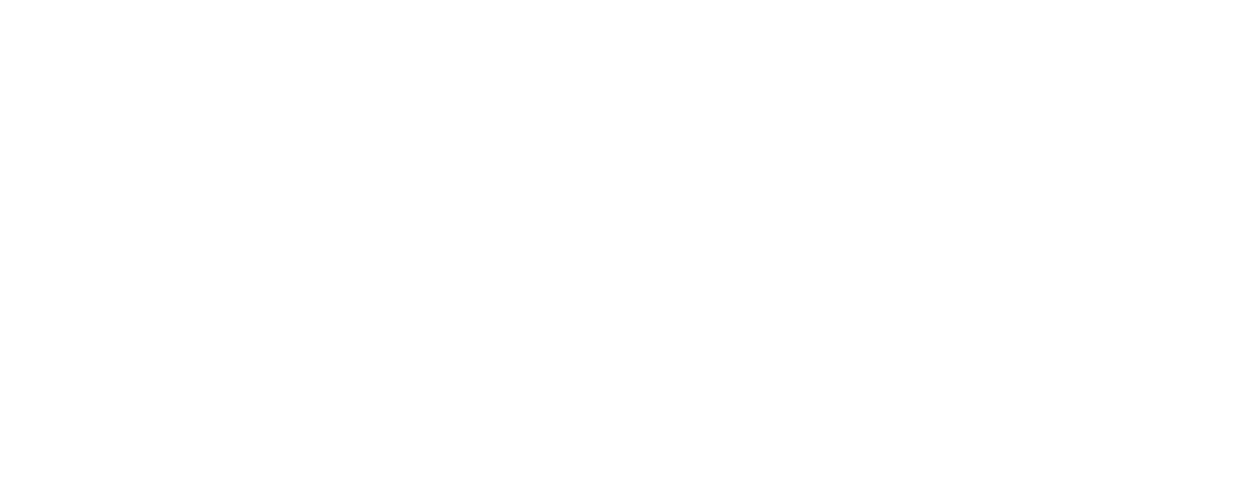 WiqayaSys Logo